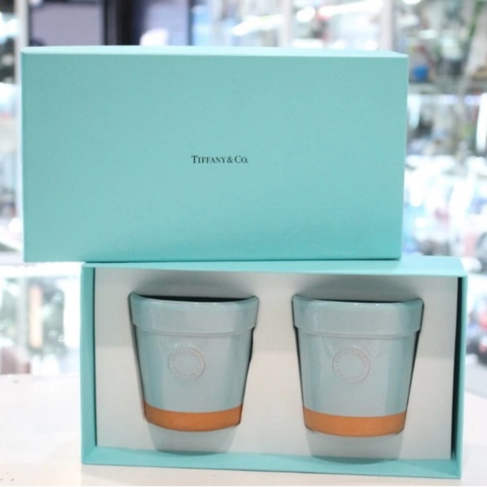 Tiffany & Co. Blue and Terracotta medium flower pots